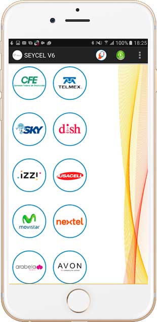 pago de servicios